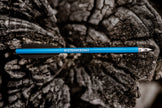 Steambow Archery AR-Series Target Arrows - 10 Pack