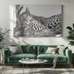 Time to rest Leopard