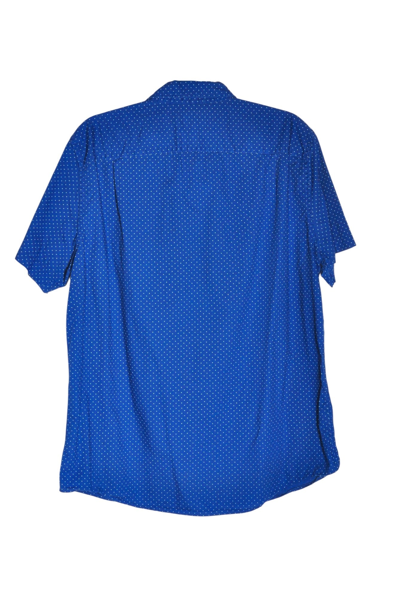 AMERICAN EAGLE Men Button Down Tops Regular fit in Blue - L