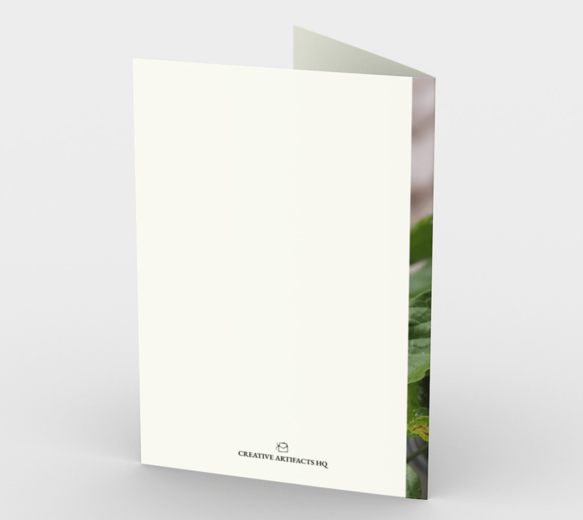 Set of 3 Blank Greeting Cards | 5 x 7 | Hibiscus Flower