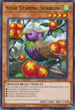 Star Staring Starling (DANE-EN024) - Dark Neostorm 1st Edition