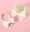 Beaux Dog Accessory Set | Hat and Collar Set