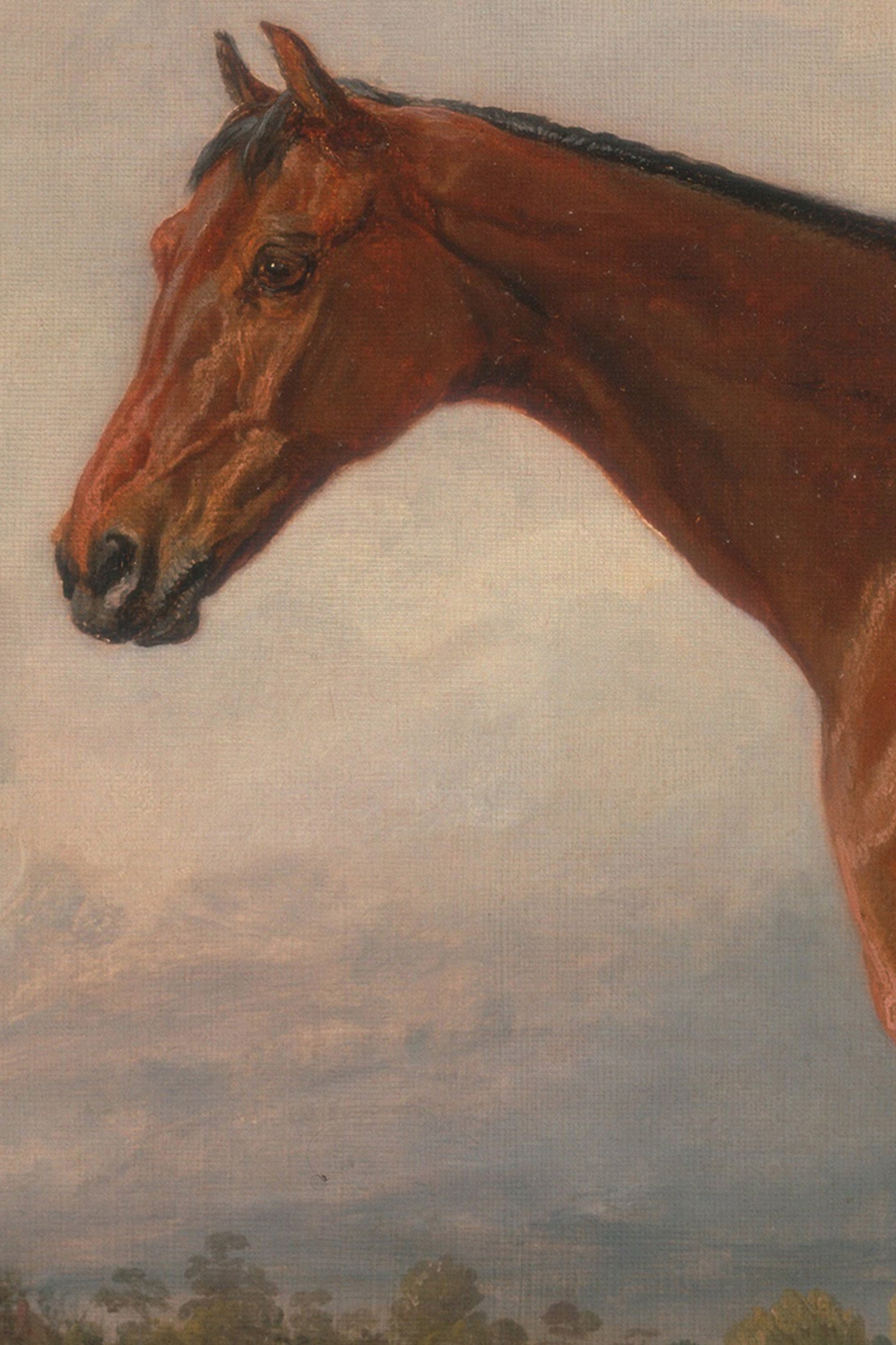 MAJESTÉ ÉQUESTRE, CADRE VINTAGE BRONZE
