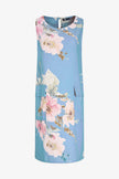 Women's Woven Dress