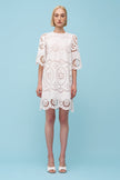 Kate Dress