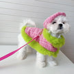 Plaid Harness Set | Dog Harness Leash and Hat Set