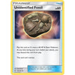 Unidentified Fossil (210/236) (SM11)