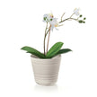 Guzzini - Tierra - Plant Pot Holder