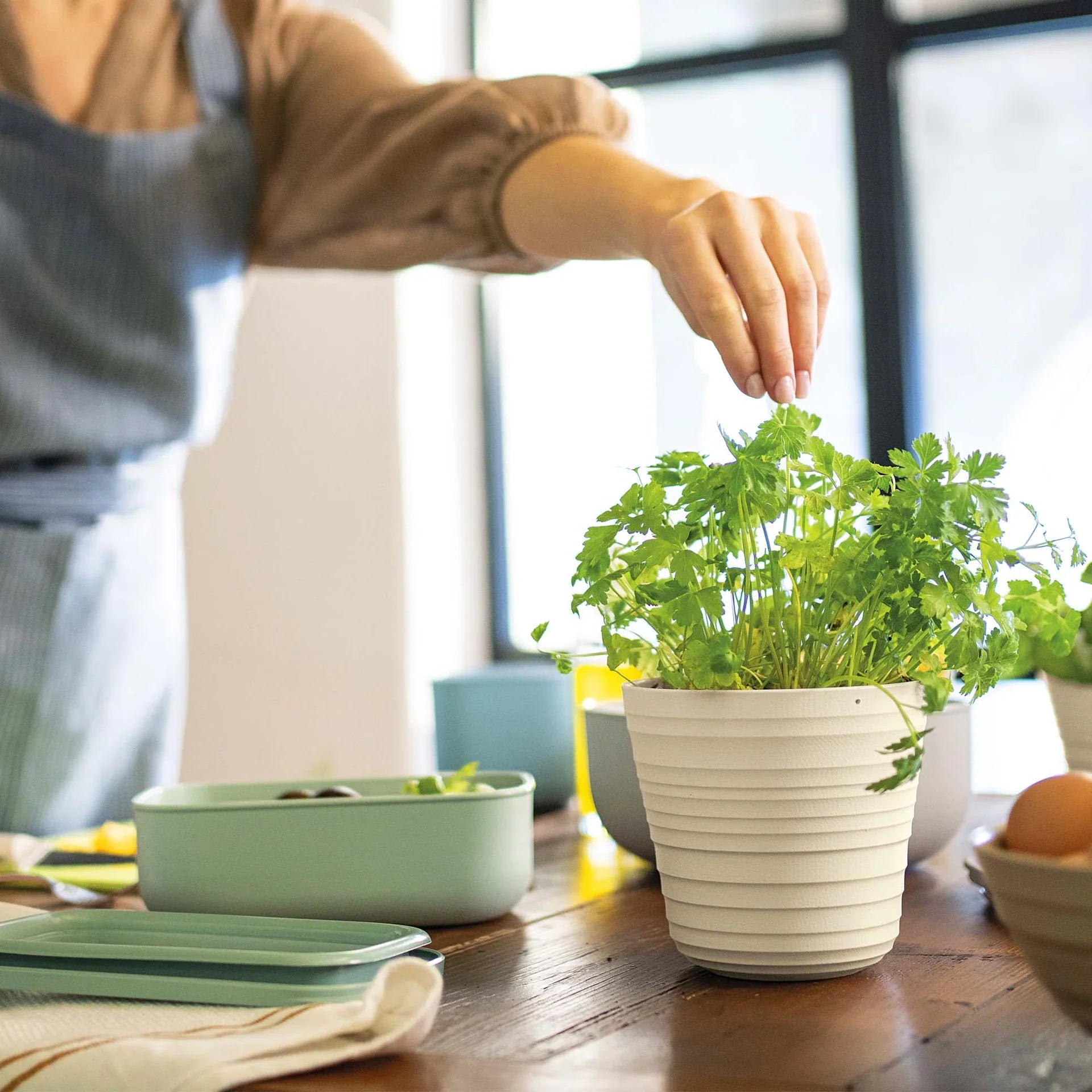Guzzini - Tierra - Plant Pot Holder
