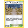 Brock's Pewter City Gym (54/68) (HIF)
