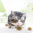 Catnip Balls for Cats – Rotary Molar Teeth Cleaning Cat Treat