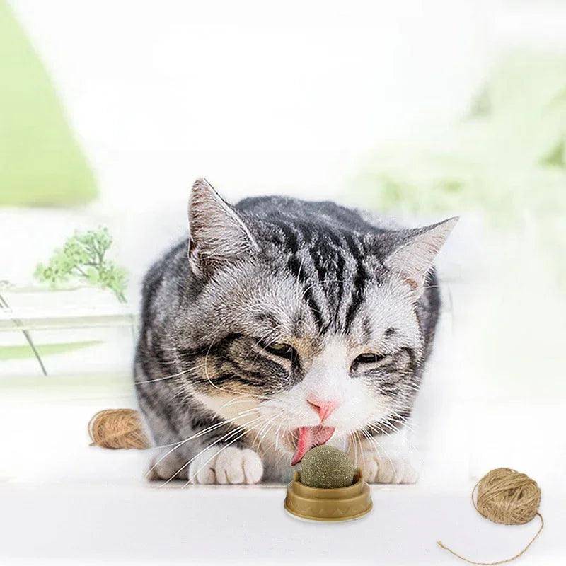 Catnip Balls for Cats – Rotary Molar Teeth Cleaning Cat Treat