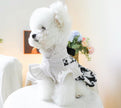 Lisa Dog Dress | Dog Dress for Special Occasions