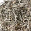 Premium Spanish Moss