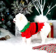 Elf Christmas Outfit – Festive Holiday Costume for Dogs