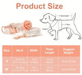 Enchanted Collar & Leash Set | Dog Collar and Leash