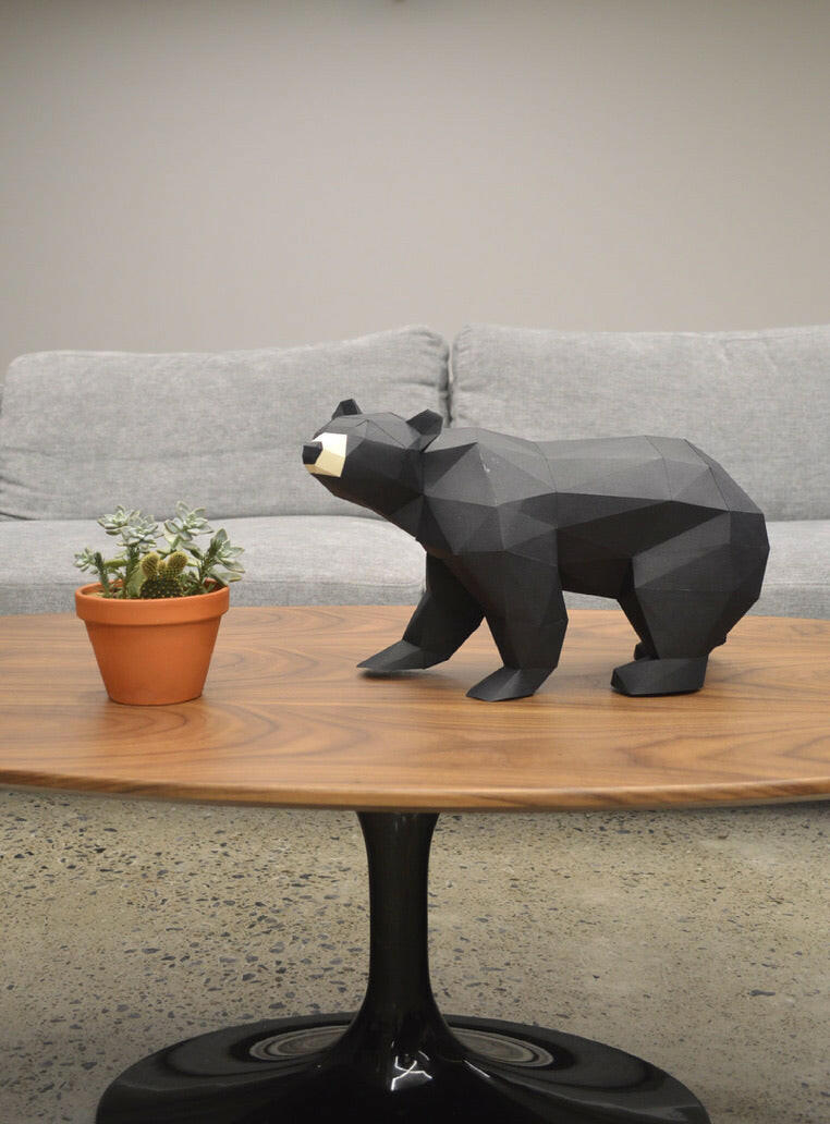 Black Bear