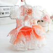 Peaches and Cream Dress