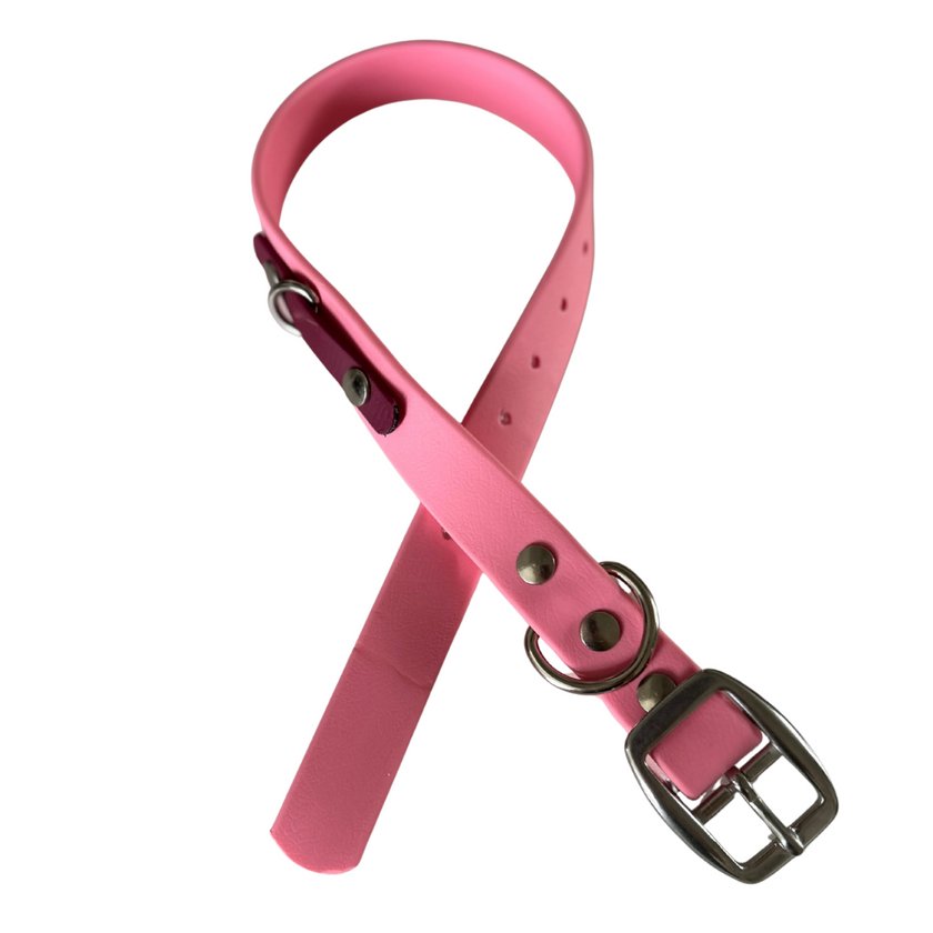Promo Spéciale sur le Collier standard 1