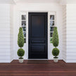 Jacob Potted Boxwood Topiary Plant (Multiple Sizes)