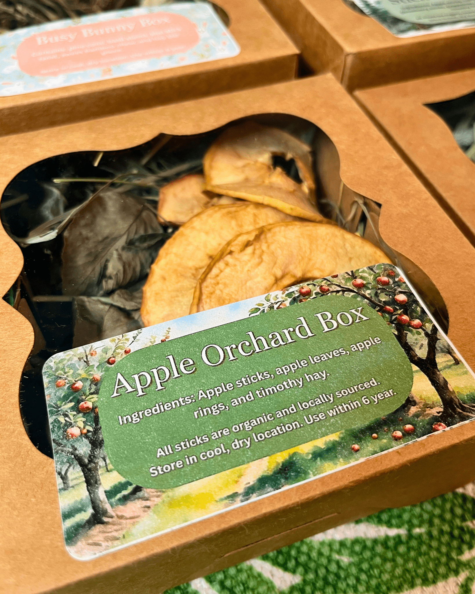 Boîte de cueillette de fruits sauvages dans un verger de pommiers