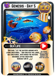 Genesis Edition Bible Cards - Pack of 26 Trading Cards