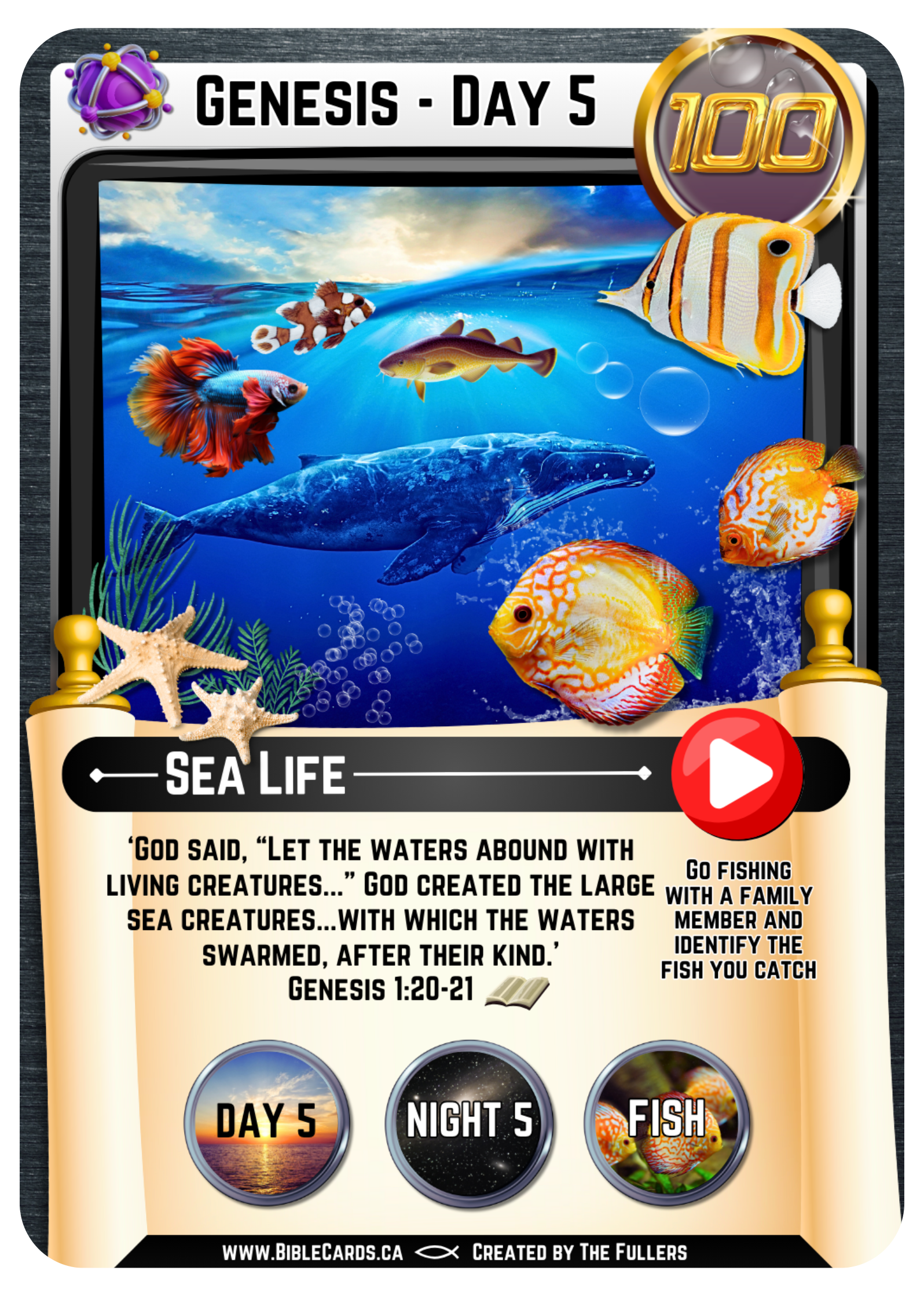 Genesis Edition Bible Cards - Pack of 26 Trading Cards