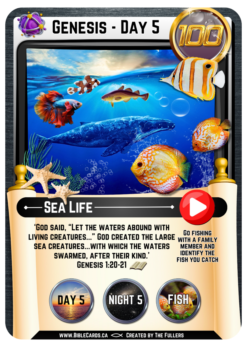 Genesis Edition Bible Cards - Pack of 26 Trading Cards