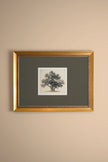 SILENT WISDOM, CADRE VINTAGE OR