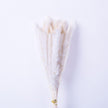Beige Pampas Bouquet 26'' (Set Of 30)