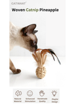 Woven Catnip Pineapple