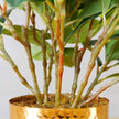 Moreno Potted Faux Watercress Plant
