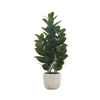 Plante artificielle -  garcinia intérieur pot 7