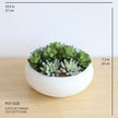 Zed Faux Succulent Arrangement in Low White Pot 7.1