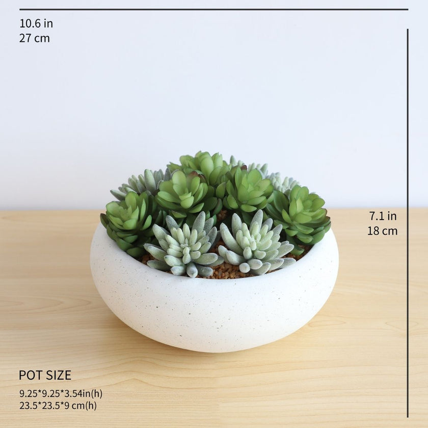Zed Faux Succulent Arrangement in Low White Pot 7.1