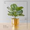 Calathea Faux Potted Plant
