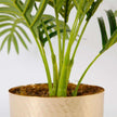 Paco Potted Faux Palm Plant