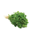 Fresh Methi leaf