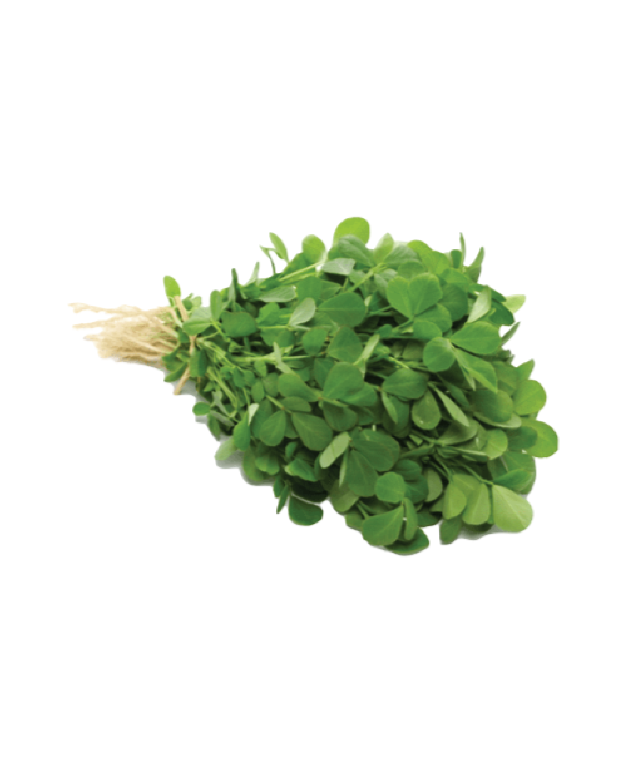 Fresh Methi leaf