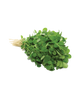 Fresh Methi leaf