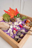 monkey bandit kids - Easy Forest & Nature Sensory Kit - Dump and Play Bag - Made in Canada
