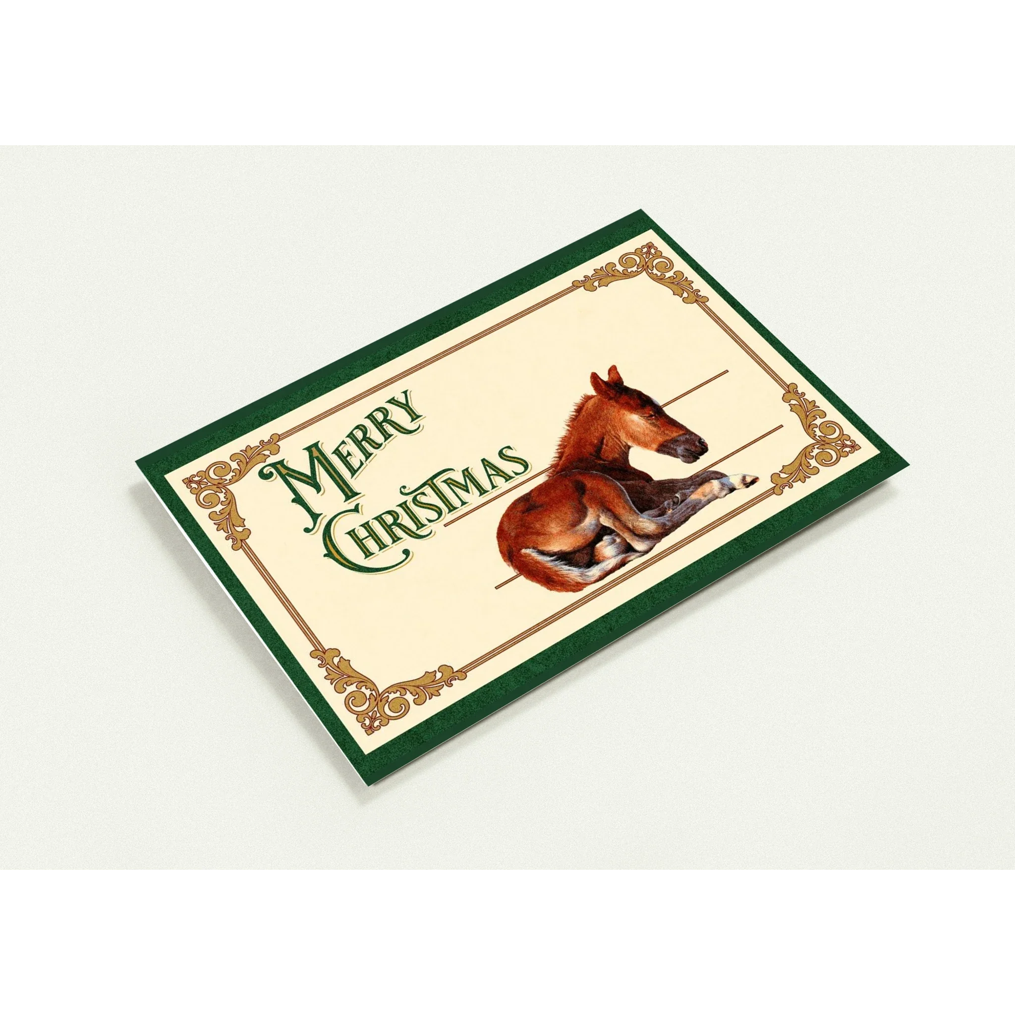 Sleepy Foal Christmas Card – Premium Pack of 10 Greeting Cards