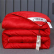 Summer Quilt Spring And Autumn Thickening Thermal Winter Duvet