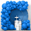 Balloon Garland Arch Kit – Latex & Chrome Party Balloons