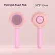 2-in-1 Self-Cleaning Pet Spray Grooming Brush – Dog & Cat Hair Remover Comb