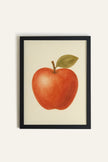 POMME ROUGE, Oeuvre sur toile rigide, encadré Noir (collective)