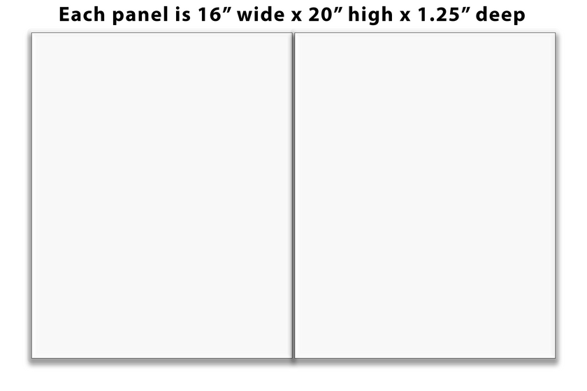 Split Canvas Prints Diptych 16