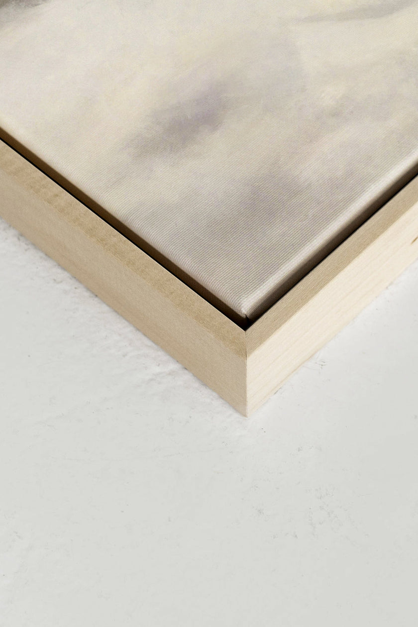 FROST, Oeuvre sur toile étirée