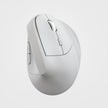 Wireless Bluetooth Vertical Mouse – Ergonomic Rechargeable Mouse for Laptop and Desktop Canada