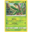 Tropius (12/236) (SM12)